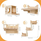 WandMiez™ Cat Climbing Wall Systems
