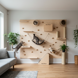 WandMiez™ Cat Climbing Wall Systems