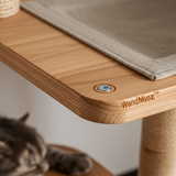 WandMiez™ Cat Climbing Wall Systems