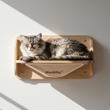 WandMiez™ Cat Climbing Wall Systems